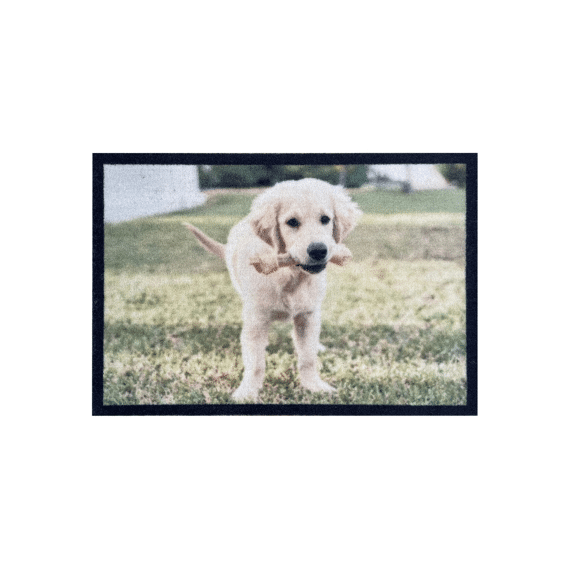 Babylon Deurmat Atrium 40x60cm Retriever