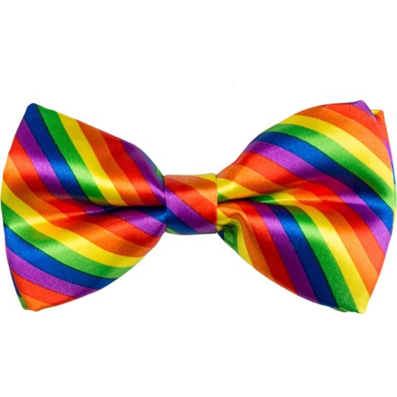 Vlinderstrik Regenboog