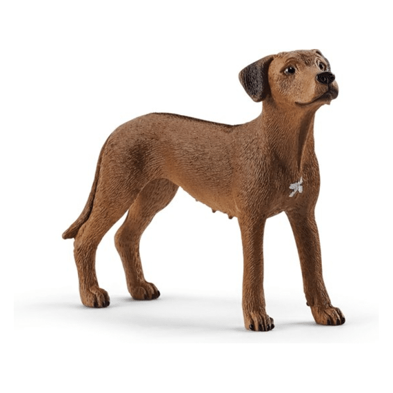 Schleich 13895 Rhodesian Ridgeback hond