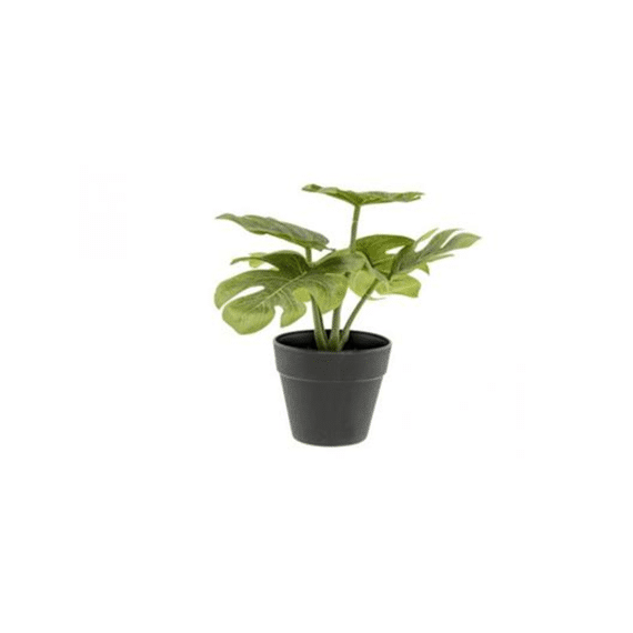 Cosy & Trendy Kunstplant Split Philo 20cm