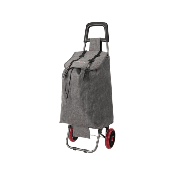 Cosy & Trendy Shopping Trolley Smart Grijs 40L 25Kg