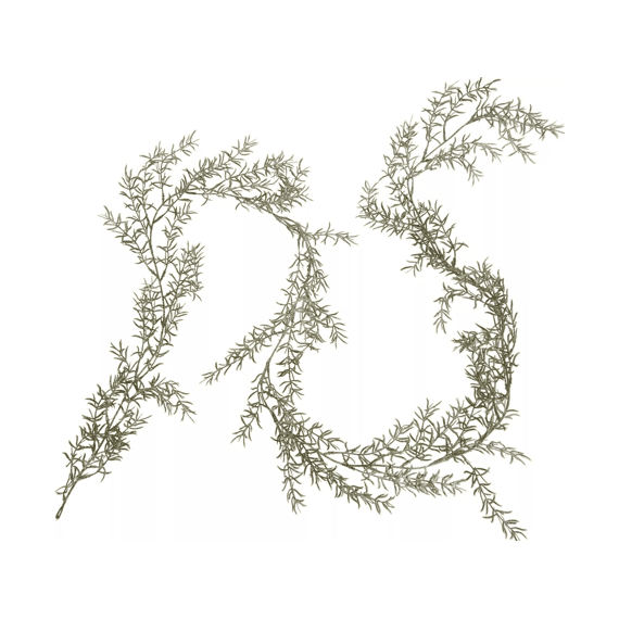Kunstbloem Ice Asparagus Garland 170cm