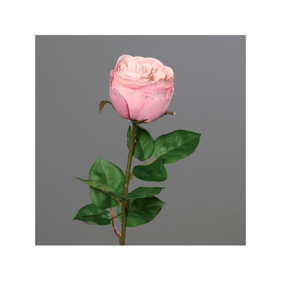 Kunstplant Tak Roos 57cm Zalmroze