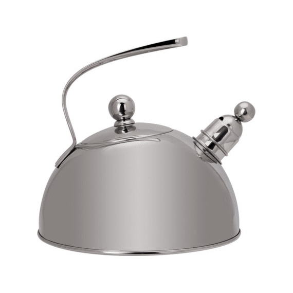 Cosy and Trendy Classic Fluitketel 2,5L RVS
