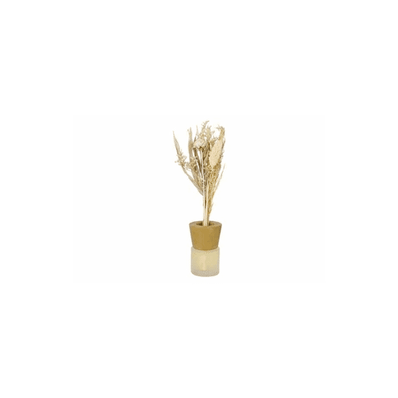 Cosy @ Home Geurdiffuser Lemon Grass Natuur 50ml