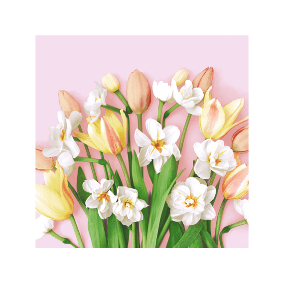 Duni Servetten 33x33cm 20stuks Tulip Joy