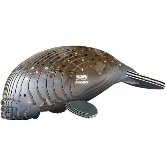 Eugy 3d Model Zeedier Zeekoe