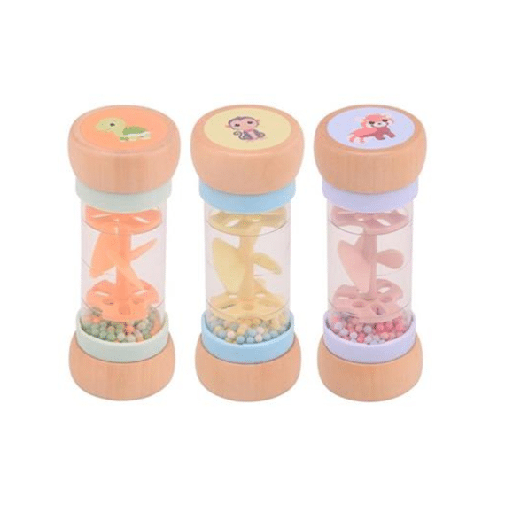 Joueco Zintuig Regenstick Assortiment