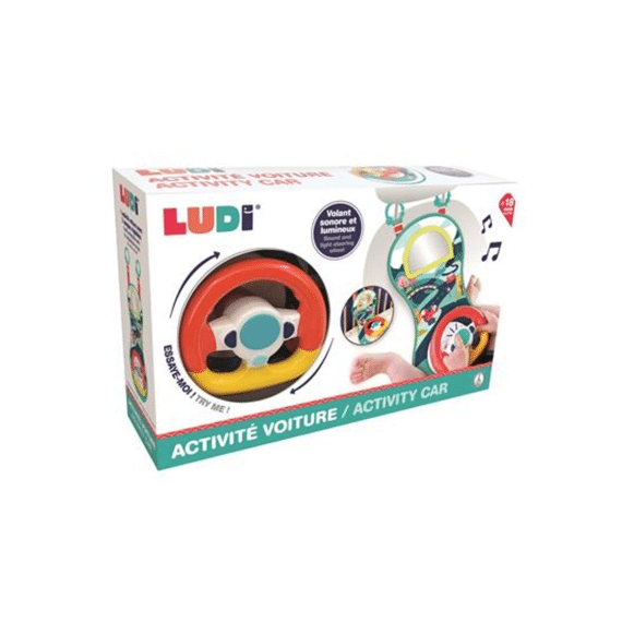 Ludi Auto Activiteit