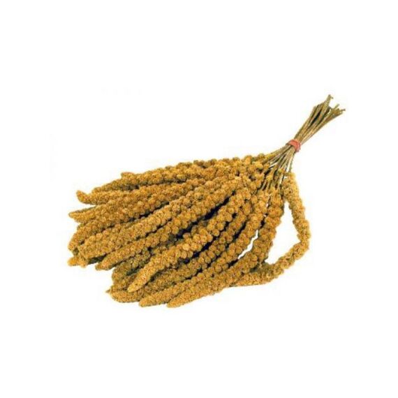 Trossen China Millet Trosgierst Zak 1 Kg