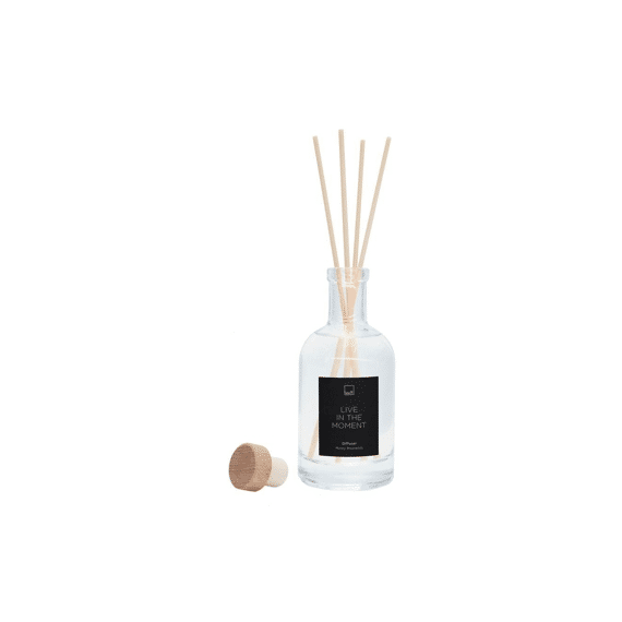 Leeff Diffuser Minty Moments Live in the moment