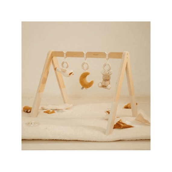 Little Dutch Babygym Hout Newborn Naturals