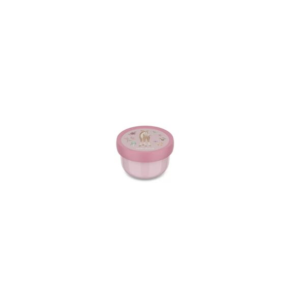 Mepal Little Dutch Fruitbox Campus 300ml Fairy Garden