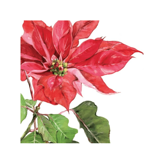 PPD Servetten 33cm 20stuks Poinsettia Red