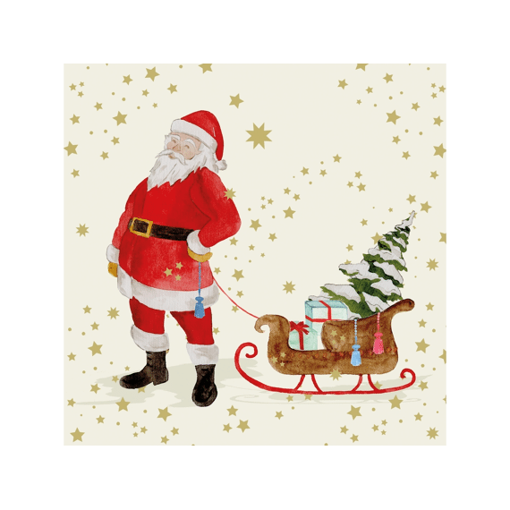 PPD Servetten 33cm 20stuks Snowflakes & Santa