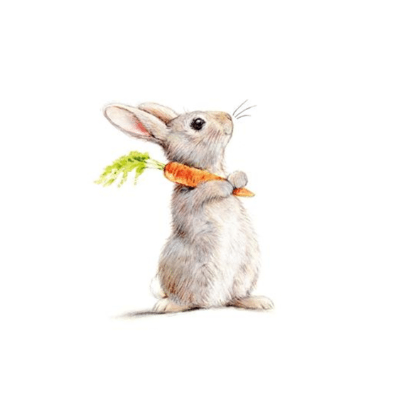 PPD Servetten 33cm 20stuks Rabbit and Carrot
