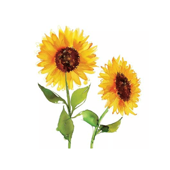 PPD Servetten 33cm 20stuks Two Sunflowers