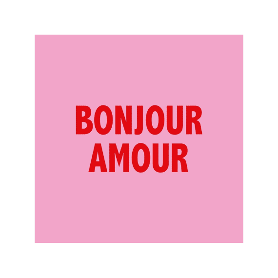 PPD Servetten 25cm 20stuks Bonjour Amour