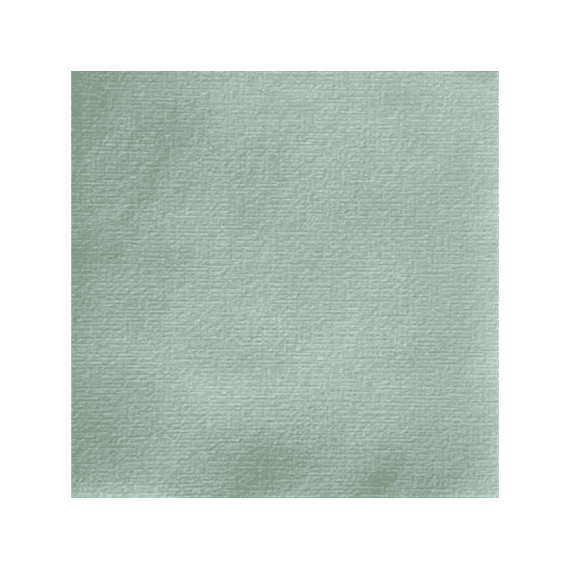 Françoise Paviot Servet 40x40cm 20stuks Vert Sauge