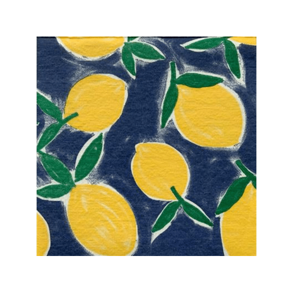 Françoise Paviot Servet 40x40cm 20stuks Citrus Blue