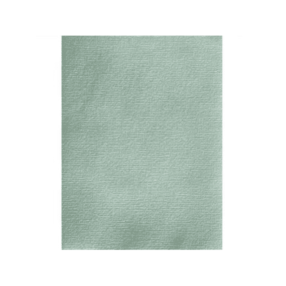 Françoise Paviot Tafelpapier Op Rol 1,60x5m Vert Sauge