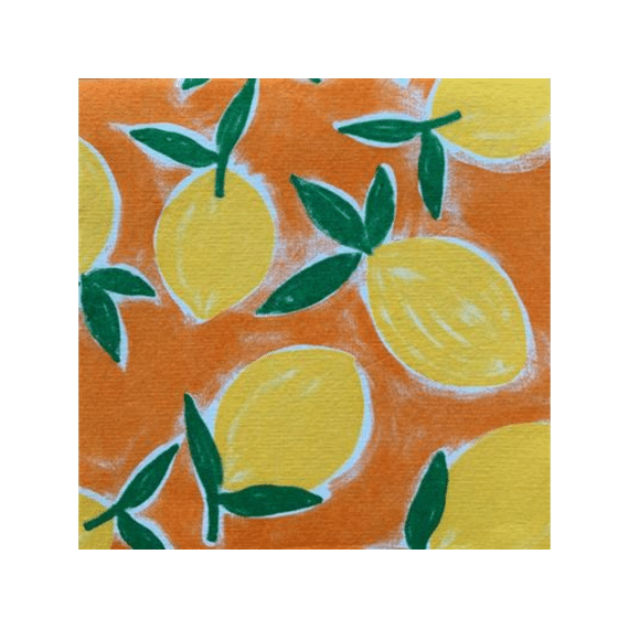 Françoise Paviot Servet 40x40cm 20stuks Citrus Orange