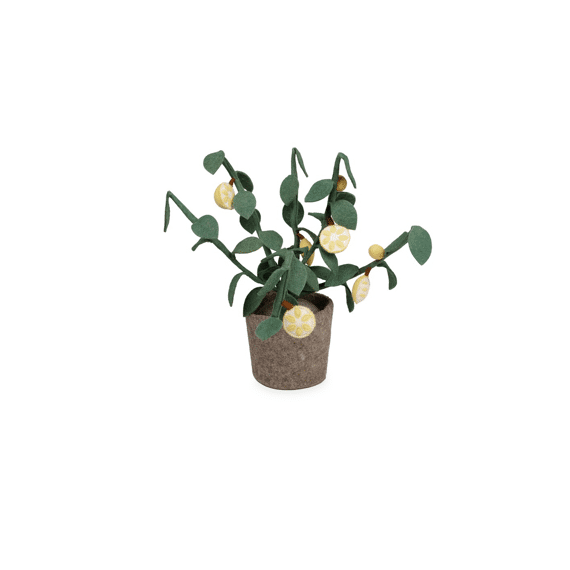 Kidsdepot Plant Vilt Citrus