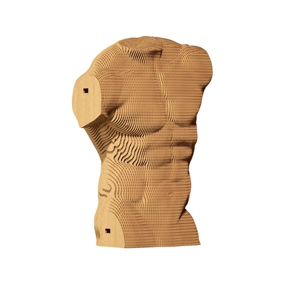 Cartonic 3d Puzzel Torso Man