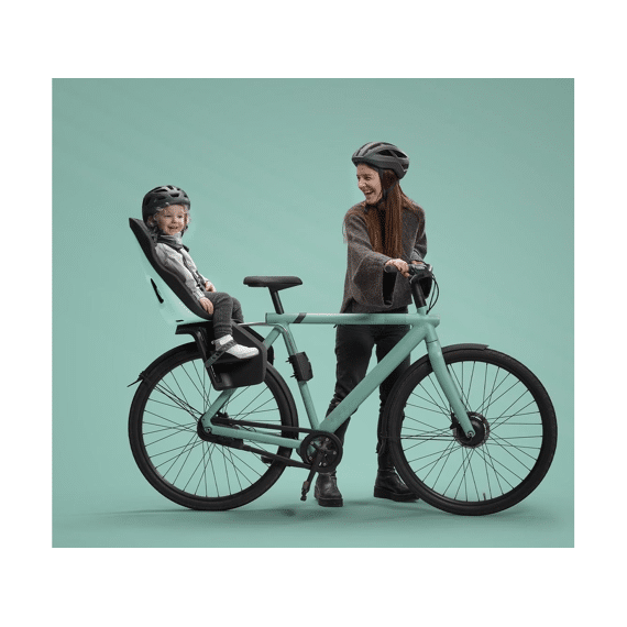 Thule Yepp Fietsstoel Nexxt 2 Maxi Zadelbuis Mint