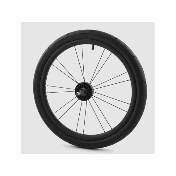SPQ Thule Fietskar Chariot  Achterwiel LH