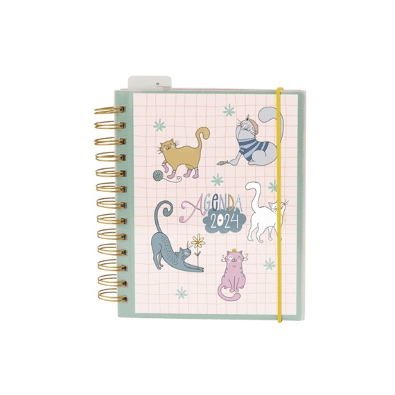 Agenda Funny Side Up