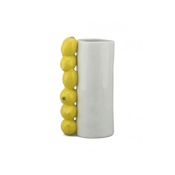 Opjet Vaas Lang Citroen 11x8x18,5cm