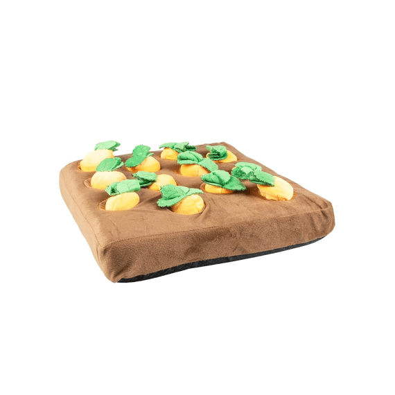 Snackmat Wortel Moestuin 37x37x8cm Meerkleurig
