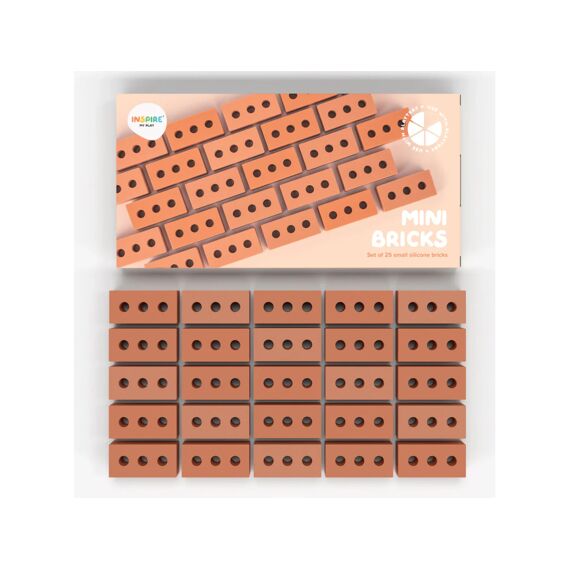 Inspire My Play Mini Bricks 25st