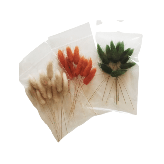 Vis Ta Vie Lagurus Pastel Blue In Zakje 12st 10cm