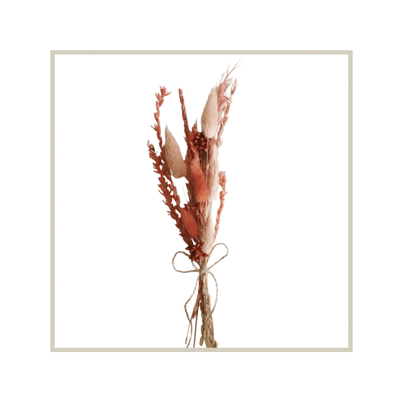 Vis Ta Vie Droogboeketje Peach 6st 30cm