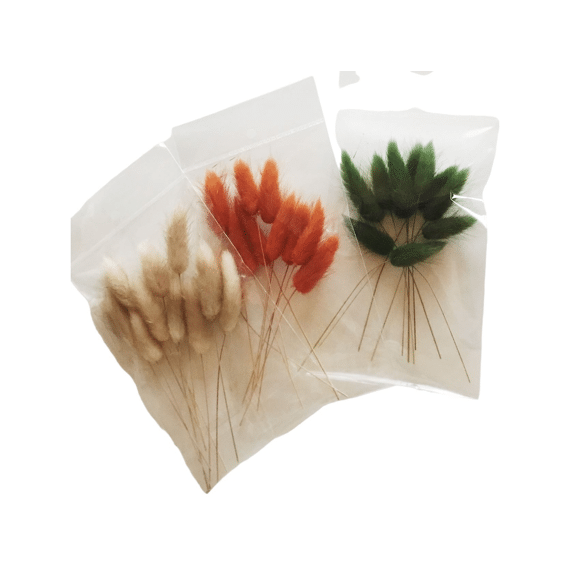 Vis Ta Vie Lagurus Midnight Blue In Zakje 12st 10cm