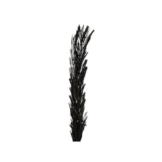 Droogbloemen Date Leaf 2st Zwart 100cm