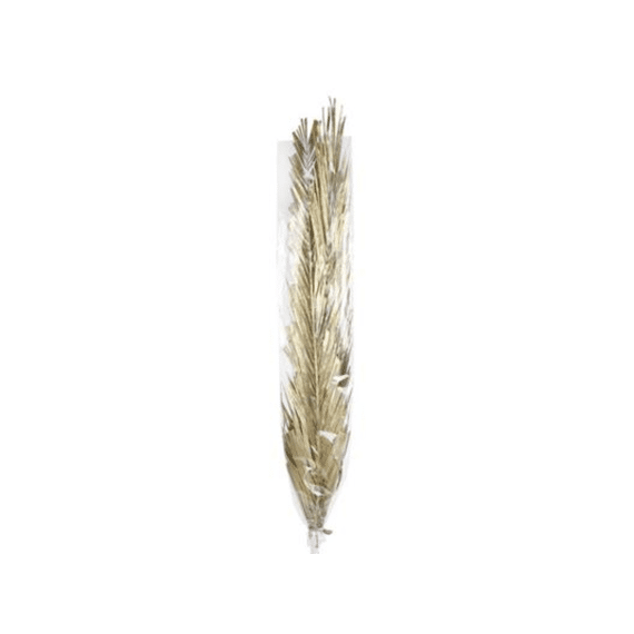 Droogbloemen Date Leaf 2st Goud 100cm