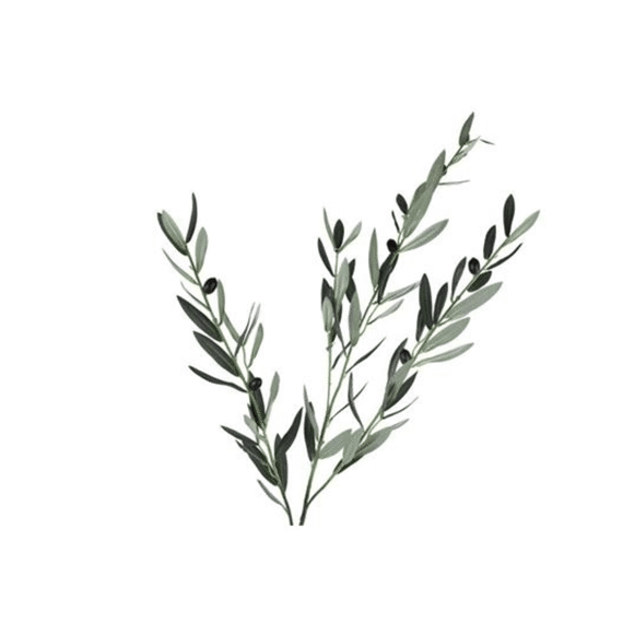 Kunstplant Tak Olive Aragon Groen 96cm