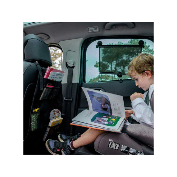 Ezimoov Car Organiser Zwart
