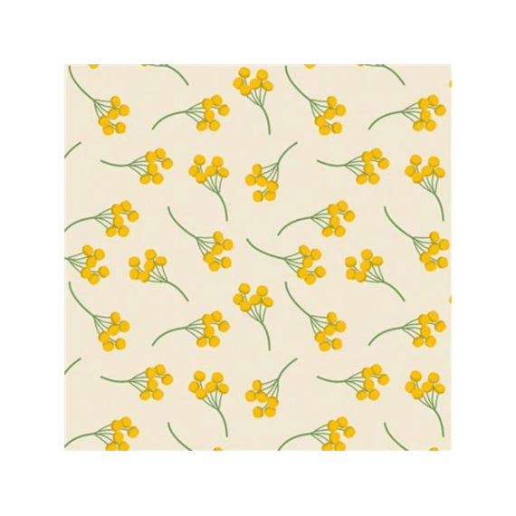 Finesse Captain Cook Toile Cirée 20cm Mimosi Vanilla