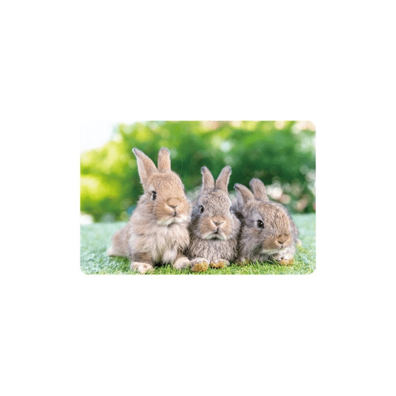 Finesse Placemat 38,5x43,5cm Hoppy Place