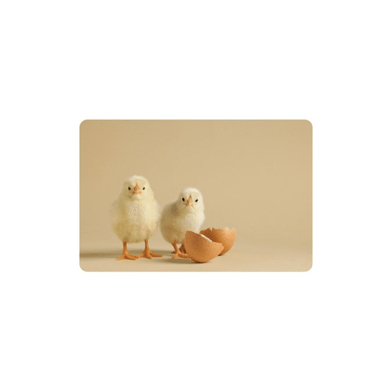 Finesse Placemat 38,5x43,5cm Chicklets