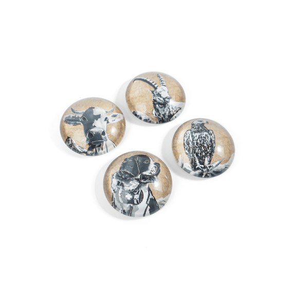 Trendform Magneet 4stuks Bella and Friends