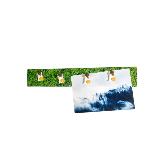 Trendform Story Box Barry Magnets Magneten 4stuks