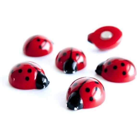 Trendform Magneten 6stuks Lady Bug