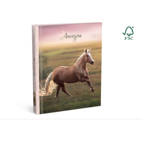 Amazone Ringmap A4 2R Horse Running