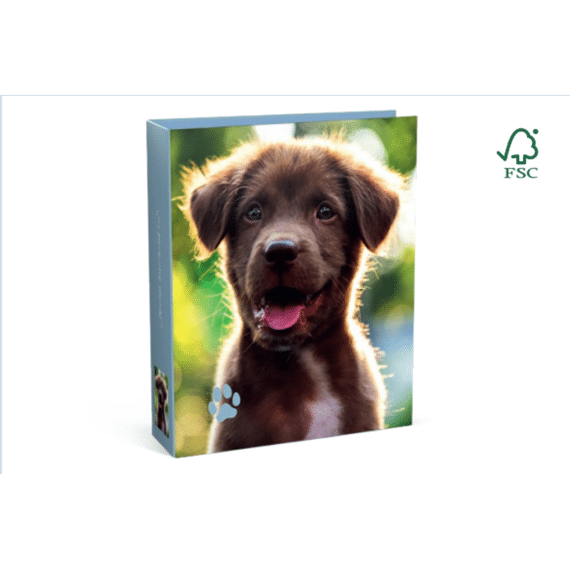 My Favourite Friends Klasseur A4 8cm Blue Dog