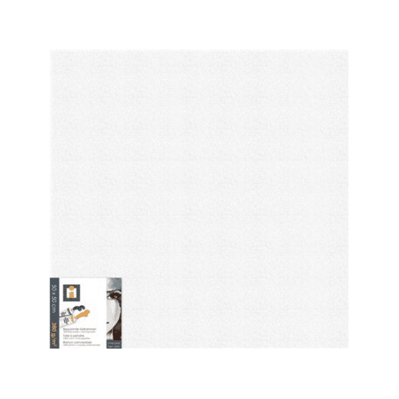 Canvas Spieraam 50x50cm